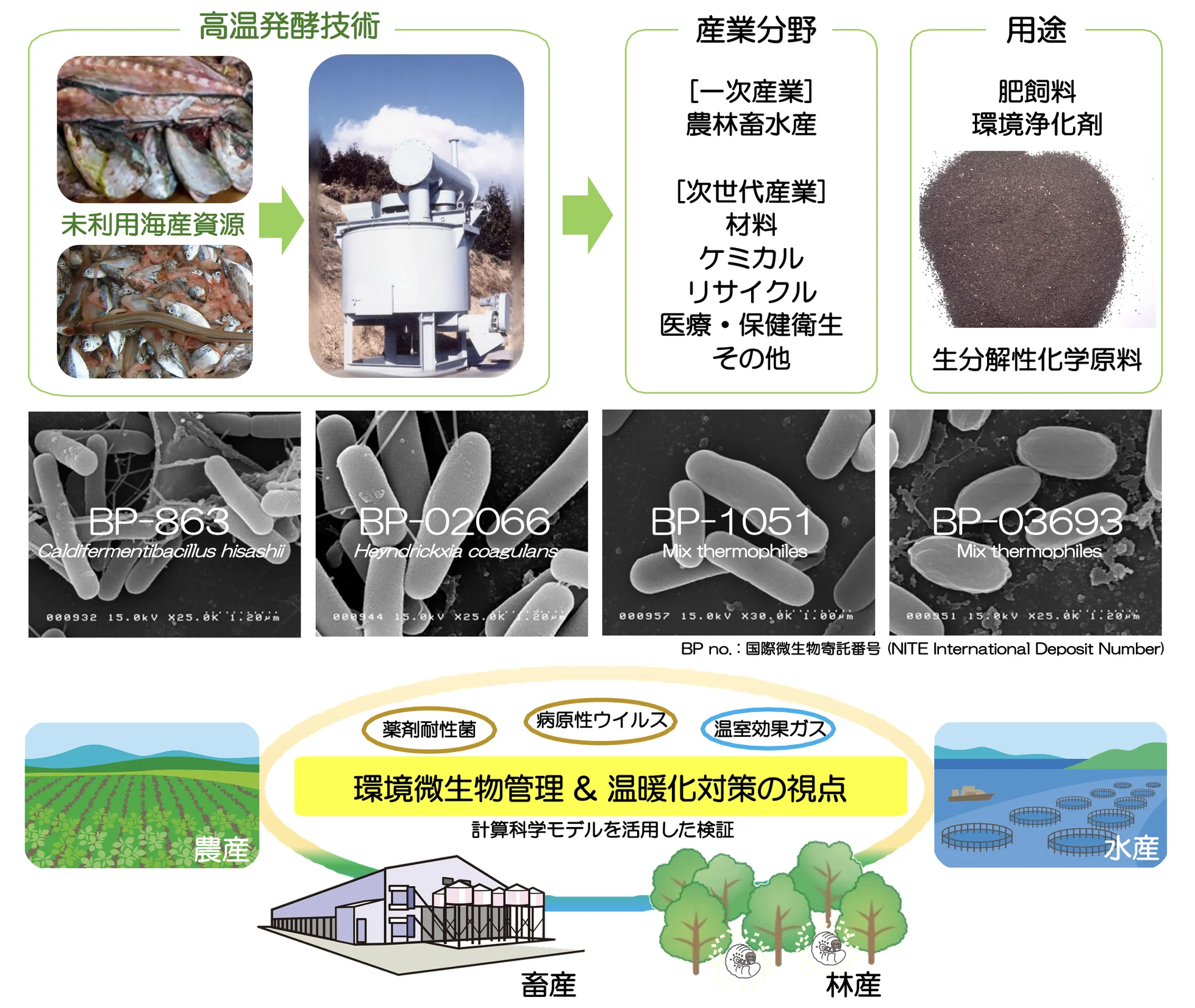 技術の全体像：未利用海産資源を高温発酵技術で処理し、一次産業（農林畜水産）および次世代産業（材料・ケミカル・リサイクル・医療保健衛生）へ、肥飼料・環境浄化剤・生分解性化学原料として展開。BP-863（Caldifermentibacillus hisashii）ほか国際寄託微生物群を基盤に、薬剤耐性菌・病原性ウイルス・温室効果ガスを対象とした環境微生物管理と温暖化対策の視点から、計算科学モデルを活用して農産・畜産・林産・水産の循環を検証する